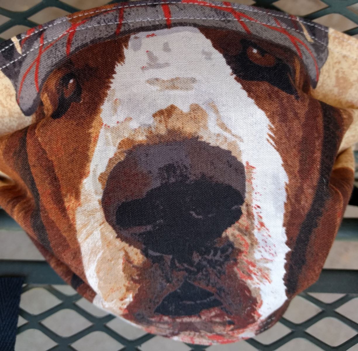 96246392_240991580576553_4616849973571485696_n(1) dog face mask