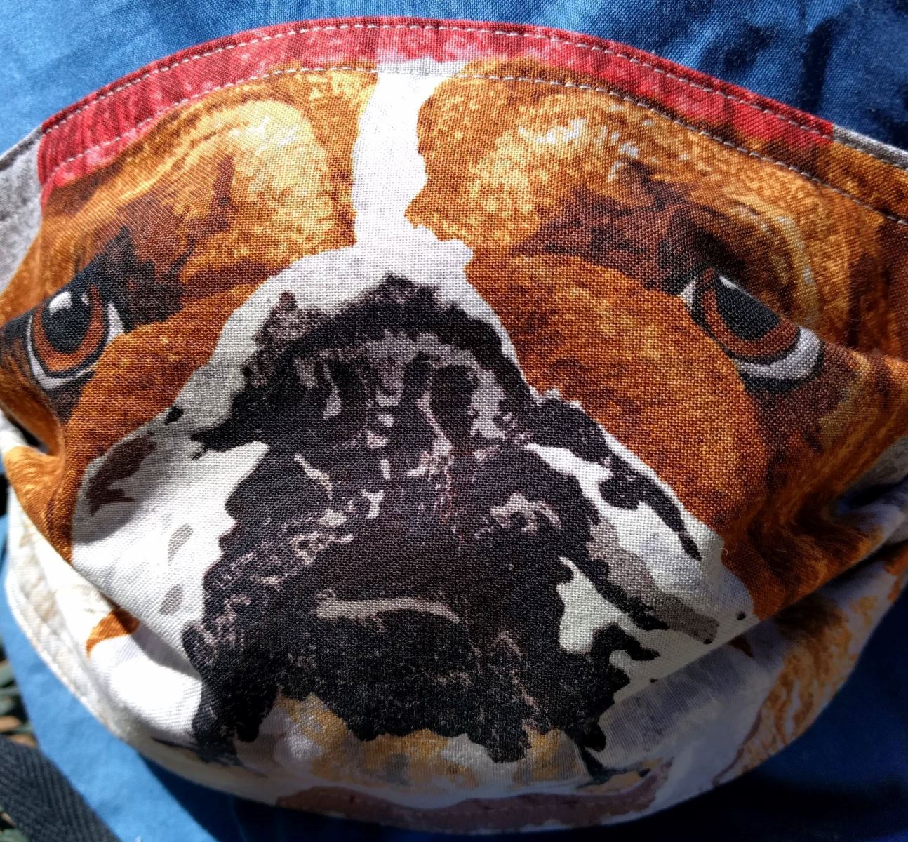 98284593_167706911348291_6303118524130787328_n(1) Dog face mask