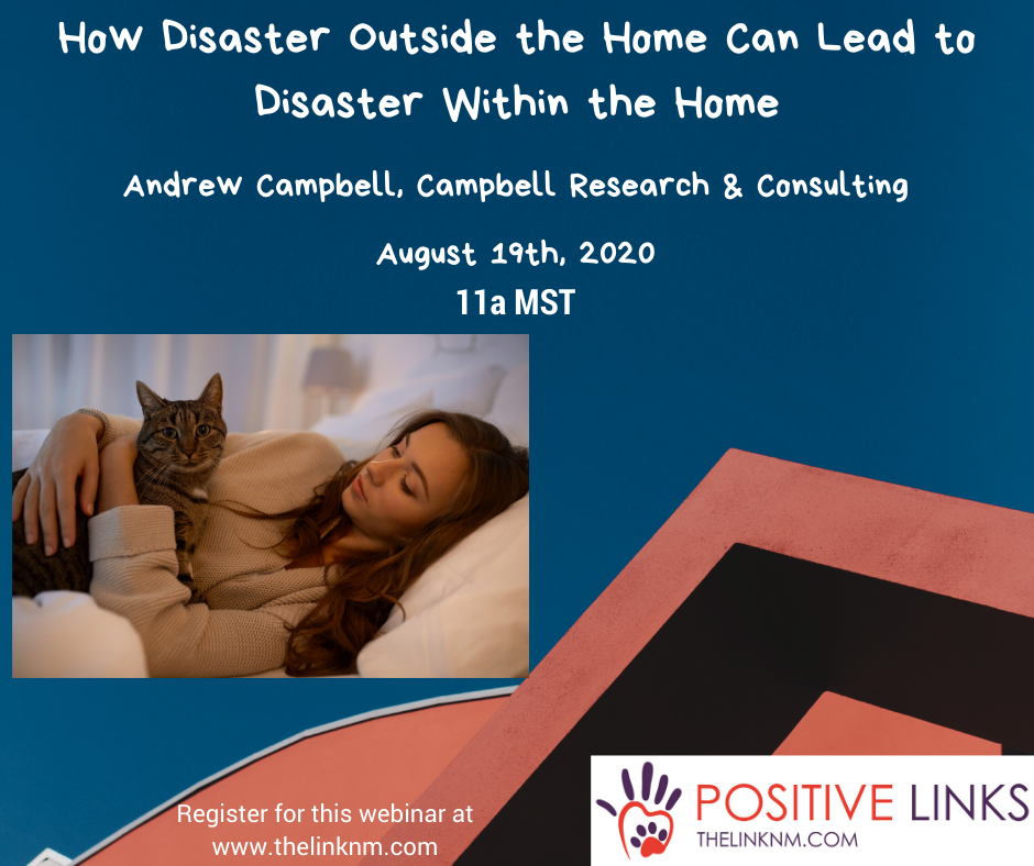 How Disaster Outside the Home can Lead to Disaster Within the Home Andrew Campbell, Campbell Research & Consulting August 19th, 2020 11am MDT Register for this webinar at www.thelinknm.com