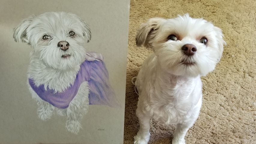 grace Drawing of dog Grace