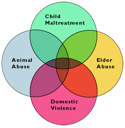 Venn diagram of abuse varieties